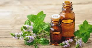 Instantly run/preview your code, without ever leaving peppermint, for over 30 different programming languages. Benefits Of Peppermint Oil Uses Side Effects Research