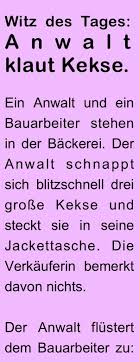 Witz Des Tages Anwalt Klaut Kekse Witz Des Tages Lustige Zitate Und Spruche Lustige Bilder Mit Text