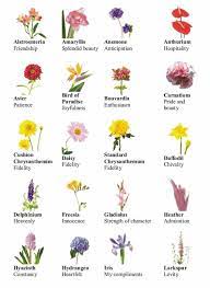 Which flowers mean love, hope, healing, and good luck? Learn English Vocabulary Through Pictures Flowers And Plants Eslbuzz Learning English Different Types Of Flowers List Of Flowers Flower Meanings