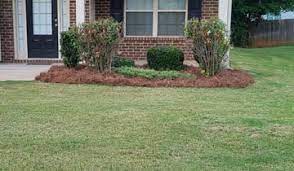 We offer a professional lawn mowing service in mckinney, tx. Y5ngqs5ewnaogm