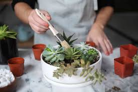 Accentuate the natural beauty of greenery with indoor succulent planter from alibaba.com. How To Make An Easy Succulent Container Garden