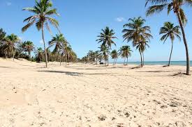 Hôtels proches de praias do ceara, aracati: Praias Do Ceara Top 10 Das Praias Mais Bonitas Do Ceara