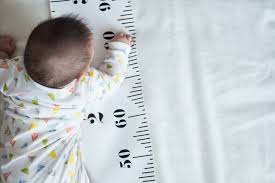 Memasuki usia 5 bulan, bayi sudah mampu memasukkan aneka benda ke dalam mulutnya. Bagaimana Cara Mengetahui Tinggi Badan Bayi Kurang Pendek