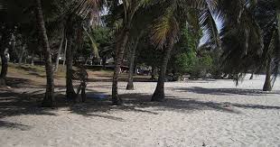 Tiwi Beach Camping Camping Places Beach Camping Favorite Places