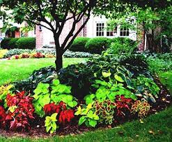 Use a trowel or digging knife, rather than a large shovel. 16 Landscaping Ideas Around Trees Zacs Garden