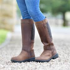 Image result for Brown 2022 Fleet