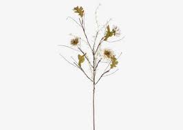 Find archives for chicago tribune, the chicago weekly tribune,. Blooms Branches Urban Barn