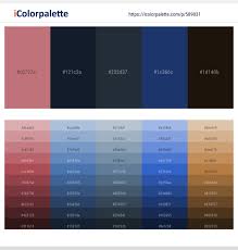 1860+ Latest Color Schemes with Ebony Clay Color tone combinations