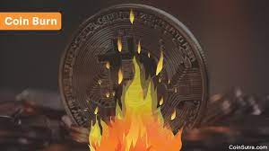 By committing the coins to an unreachable address, validators earn a privilege to mine on the system based on a random selection process. What Is Coin Burn In Cryptocurrency A Beginner S Guide For Investors