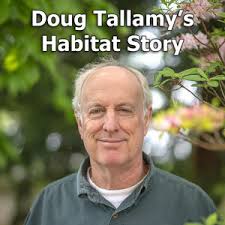 156: Save Blackswarth Road Wood with Phil Sturgeon