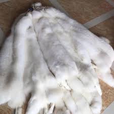 1x Genuine White Fox Skin Fur Pelts Soft Dense Real Leather Hides 51-55  inch | eBay