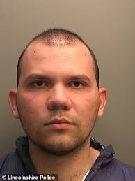 Son jailed for murdering his mother and her partner