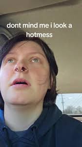 Bumblebee Adventure: A Bee's Ride in My Car