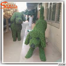 The unvaccinated dog is verrrrrry healthy. Wholesale Artificial Topiary Dog Animals Topiary Wire Frame For Garden Decoration Buy Topiary Wire Frame Topiary Topiary Animals Product On Alibaba Com