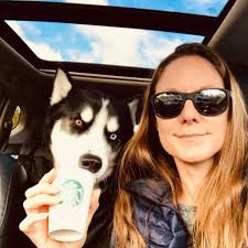 Meet Pablo, our 2-year-old Siberian Husky with striking icy eyes and a  resting furrow face that makes him look like he's scowling even when he's  having the best day of his life.