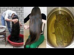 Faire Pousser Les Cheveux Plus Vite Volumineux Et Brillants Youtube Comment Faire Pousser Ses Cheveux Chute De Cheveux Faire Pousser Les Cheveux