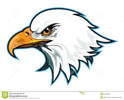 profil principal d aigle illustration de vecteur du clavettes 24484798 photo libre coloriage citrouille