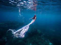 Image result for real mermaid