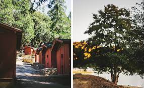 Cozy bear cabin relax in our cozy cabin set in a scenic wooded area on a large private lot just 2 miles from beautiful seeley lake and 1 hour north of missoula. Kate Will S Camp Seely Wedding Kim Smith Miller