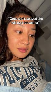 Spaying Your Cat: What to Expect After Surgery