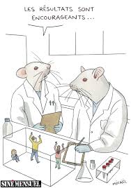 A covid‑19 vaccine is a vaccine intended to provide acquired immunity against severe acute respiratory syndrome coronavirus 2 (sars‑cov‑2), the virus causing coronavirus disease 2019. Bruno Crestani Covid 19 Ce Qu On Sait Et Ce Qu On Ne Sait Pas La Redaction