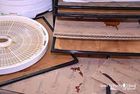 Quick Tips On How To Clean Your Dehydrator - Seed To Pantry School