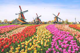 Eine woche lang waren wir in der grachtenstadt. Die Top Amsterdam Sehenswurdigkeiten Tipps Highlights