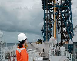 Image result for japan ocean drilling project subduction