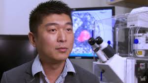 First human-pig 'chimera' created in milestone study