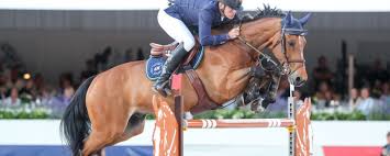 Maybe you would like to learn more about one of these? Peder Fredricsons H M All In Ar Manadens Hast Hos Fei Internationella Ridsportforbundet Ridenews