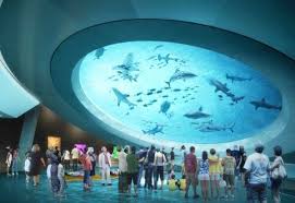 Miami S New Science Museum To Feature An Incredible 500 000 Gallon Gulf Stream Aquarium Miami Attractions Aquarium Architecture Miami Travel