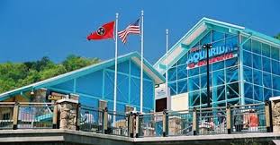Now Through March 6 Save An Extra 25 On Ripley S Combo Tickets For The Aquarium Of The Smoky Mountains Attractions Gatlinburg Attractions Gatlinburg Aquarium