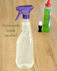 Our effective spider killer spray kills spiders almost instantly!will you be our friend? Spider Repellent Diy For Home Garden Easy Peasy Creative Ideas