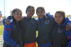 All your rare dragons and items are unique, and you are the owner! Gallery 2019 Pcyc Nations Of Origin Nswrl