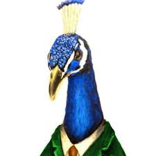 Andrew is an experienced product designer originally from sydney currently living in seattle. Andrew Peacock Andrewpeacock80 Twitter