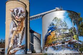 Silo Art At Rochester Of Squirrel Glider And Azure Kingfisher In 2021 Art Building Art Street Art