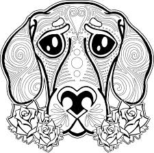 Check spelling or type a new query. Animal Free Printable Coloring Pages For Adults Easy Novocom Top