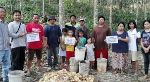 Bantuan musim tengkujuh tahun 2020. Timbalan Ketua Menteri Gaji Rm71 932 Aset Rm6 1 Juta Layak Bantuan Musim Tengkujuh Rm600