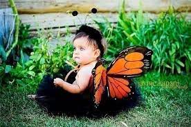 Newborn baby butterfly costume infant photography prop. Butterfly Babies Monarch Butterfly Butterfly Costume Butterfly Wings