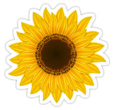 Sunflower Yellow Cute Colorful Flower Flowers Sticker By Myhandmadesigns Sunflower Clipart Sunflower Images Sunflower Png