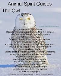 Your Animal Spirit Guide For June 4th Is The Owl Witches Of The Craft Owl Spirit Animal Animal Spirit Guide Animal Spirit Guides