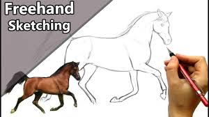 We did not find results for: How To Sketch A Horse Without Any Guidelines Step By Step Tutorial Youtube