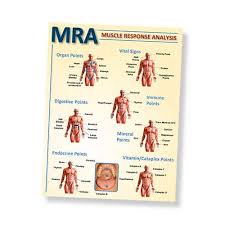 Introducing Our Muscle Response Analysis Chart Selene