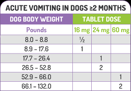 21 Described Medication Chart For Dogs