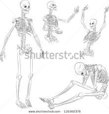 Https Www Google Com Blank Html Skeleton Drawings Human Skeleton Skeleton Art Drawing