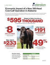 She breaks down all the prices and tells you the final cost per pound for this awesome home grown organic meat. Alabama Beef Cattle Facts