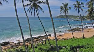 Deposit money into sampath bank in seconds. Sri Lanka Umwelt Katastrophe Droht Brennender Tanker Hunderte Millionen Liter Ol Konnten Auslaufen Welt