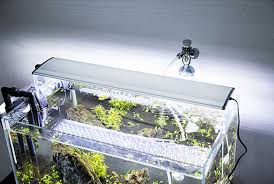 Check spelling or type a new query. Aquarium Led Lights 60cm Length 24 9w Aquatic Plants Grow Lights Super Bright Plant Light 14000k Color Temperature Led Light Christmas Led Light Advertisementlight Box Led Aliexpress