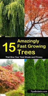 We did not find results for: 15 Amazingly Fast Growing Trees That Give Your Yard Shade And Privacy Fast Growing Shade Trees Fast Growing Trees Growing Tree
