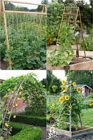 Bamboo garden design ideas and the best ways to create magnificent landscapes. 24 Easy Diy Garden Trellis Ideas Plant Structures A Piece Of Rainbow